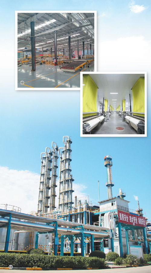 綠色轉(zhuǎn)型賦能產(chǎn)業(yè)新生 以技術(shù)推廣深入推進新型工業(yè)化的深度觀察