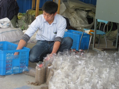 上海技術(shù)推廣 構(gòu)建產(chǎn)業(yè)服務(wù)新高地