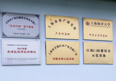 青浦區(qū)水產(chǎn)站積極推進(jìn)全國(guó)水產(chǎn)綠色健康養(yǎng)殖技術(shù)推廣“五大行動(dòng)”骨干基地認(rèn)定工作